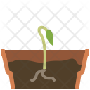 پیش‌نمایش فایل seeding-100 از پک کاشت در گلدان گلی