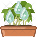 پیش‌نمایش فایل seeding-103 از پک کاشت در گلدان گلی