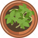پیش‌نمایش فایل seeding-116 از پک کاشت در گلدان گلی