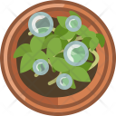 پیش‌نمایش فایل seeding-117 از پک کاشت در گلدان گلی