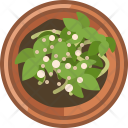 پیش‌نمایش فایل seeding-118 از پک کاشت در گلدان گلی
