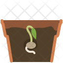پیش‌نمایش فایل seeding-97 از پک کاشت در گلدان گلی