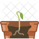 پیش‌نمایش فایل seeding-99 از پک کاشت در گلدان گلی