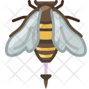 پیش‌نمایش فایل bee-52 از پک زنبورداری در باغ