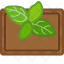پیش‌نمایش فایل basil-1 از پک آشپزی
