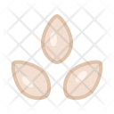 پیش‌نمایش فایل seeds-43 از پک مواد اولیه پخت و پز