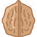 پیش‌نمایش فایل walnut-1 از پک مواد اولیه پخت و پز