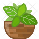 پیش‌نمایش فایل basil-5 از پک چاشنی در آشپزخانه