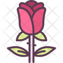 پیش‌نمایش فایل rose-10644135 از پک روز ولنتاین