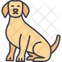 پیش‌نمایش فایل dog-12735514 از پک فروشگاه حیوانات خانگی