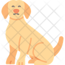 پیش‌نمایش فایل dog-12735487 از پک فروشگاه حیوانات خانگی
