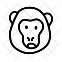 پیش‌نمایش فایل monkey-6801252 از پک حیوانات