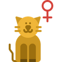 پیش‌نمایش فایل female-cat-3750418 از پک گربه