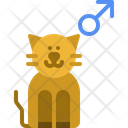 پیش‌نمایش فایل male-cat-3750419 از پک گربه