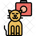 پیش‌نمایش فایل cat-photo-3750387 از پک گربه