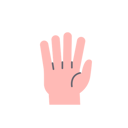 پیش‌نمایش فایل open-hand-7928739 از پک حالت دست