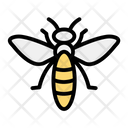 پیش‌نمایش فایل bee-9326052 از پک بهار