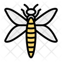 پیش‌نمایش فایل dragonfly-9326062 از پک بهار