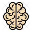 پیش‌نمایش فایل human-brain-9371246 از پک زیست شناسی
