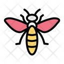 پیش‌نمایش فایل insect-9371248 از پک زیست شناسی