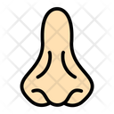 پیش‌نمایش فایل nose-9371258 از پک زیست شناسی
