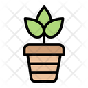 پیش‌نمایش فایل plant-pot-9371259 از پک زیست شناسی