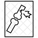 پیش‌نمایش فایل x-ray-photo-10376841 از پک بیمارستان حیوانات