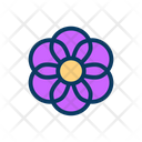 پیش‌نمایش فایل flower-1739907 از پک متفرقه