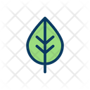 پیش‌نمایش فایل leaf-1739905 از پک متفرقه