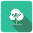 پیش‌نمایش فایل tree-620 از پک مجموعه 2 سایه گرد مربع تخت املاک
