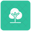 پیش‌نمایش فایل tree-629 از پک مربع گرد گلیف های املاک