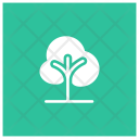 پیش‌نمایش فایل tree-630 از پک مربع گلیف های املاک