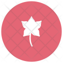 پیش‌نمایش فایل leaf-367 از پک طبیعت و محیط زیست گلیف دایره