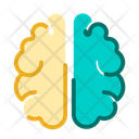پیش‌نمایش فایل brain-534 از پک آموزش