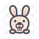 پیش‌نمایش فایل rabbit-3710472 از پک حیوان و حیوان خانگی