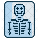 پیش‌نمایش فایل xray-2117880 از پک مراقبت های بهداشتی و پزشکی