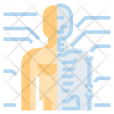 پیش‌نمایش فایل anatomy-2117997 از پک مراقبت های بهداشتی و پزشکی