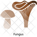 پیش‌نمایش فایل mushroom-3692094 از پک سبزیجات