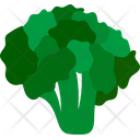 پیش‌نمایش فایل broccoli-3692148 از پک سبزیجات