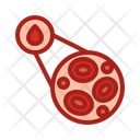 پیش‌نمایش فایل microscopic-blood-cell-1593802 از پک اهدای خون