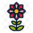 پیش‌نمایش فایل flower-1607056 از پک گل ها