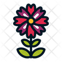 پیش‌نمایش فایل flower-1607058 از پک گل ها