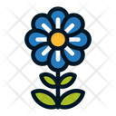 پیش‌نمایش فایل flower-1607061 از پک گل ها