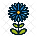 پیش‌نمایش فایل flower-1607063 از پک گل ها