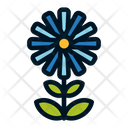 پیش‌نمایش فایل flower-1607067 از پک گل ها