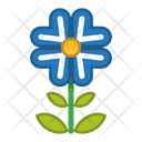 پیش‌نمایش فایل flower-1607072 از پک گل ها