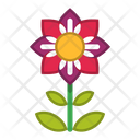 پیش‌نمایش فایل flower-1607073 از پک گل ها