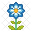 پیش‌نمایش فایل flower-1607074 از پک گل ها