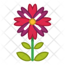 پیش‌نمایش فایل flower-1607075 از پک گل ها