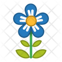 پیش‌نمایش فایل flower-1607076 از پک گل ها